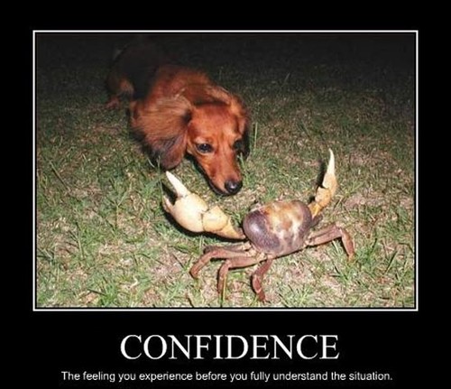 Confidence