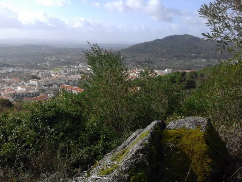 Vegetação e Rocha. Original DAPL. 2017.jpg