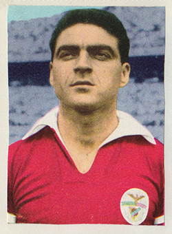 mario joao.jpg mario joao.jpg