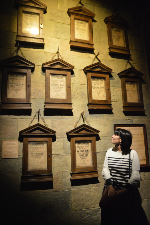 ExpHarryPotter_Mar2020-60.jpg ExpHarryPotter_Mar2020-60.jpg