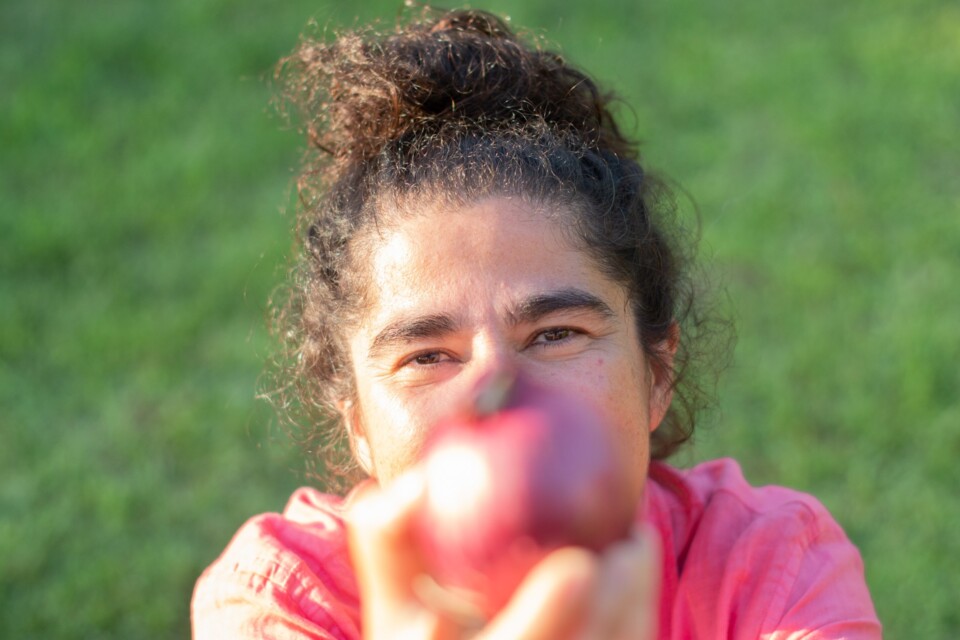 descarregar (15).jfif