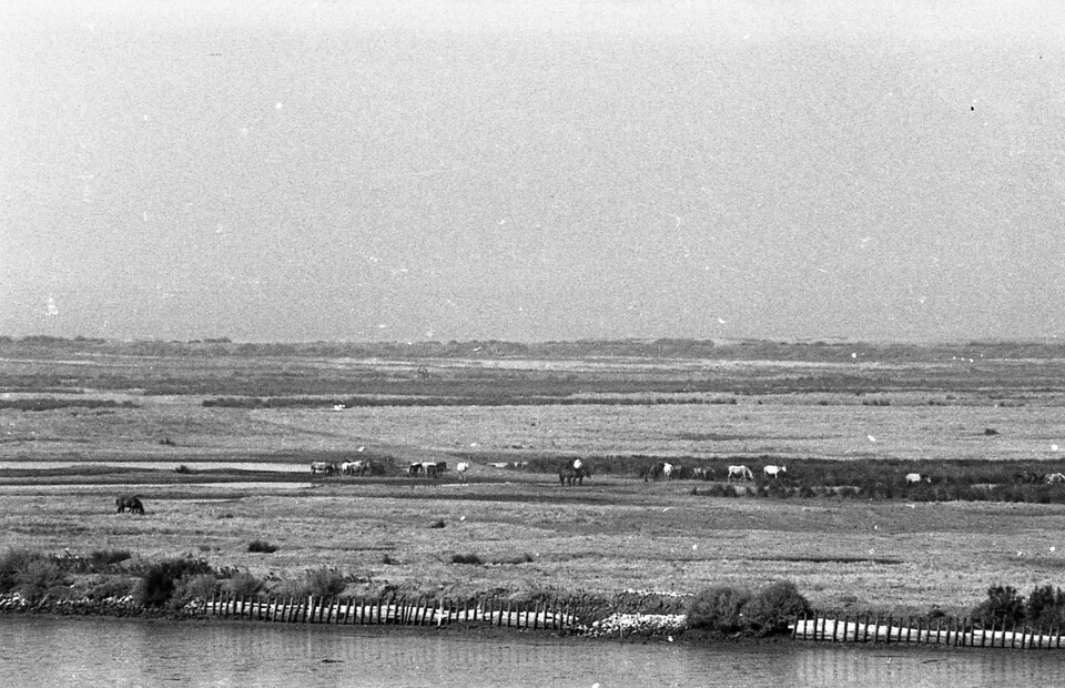 PT_AHMALCS_CMALCS_FOTOGRAFIAS_ 01_ 0692.jpg