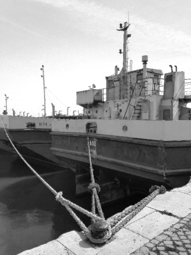 53619718_2160547677367696_1897297697019265024_n.jp