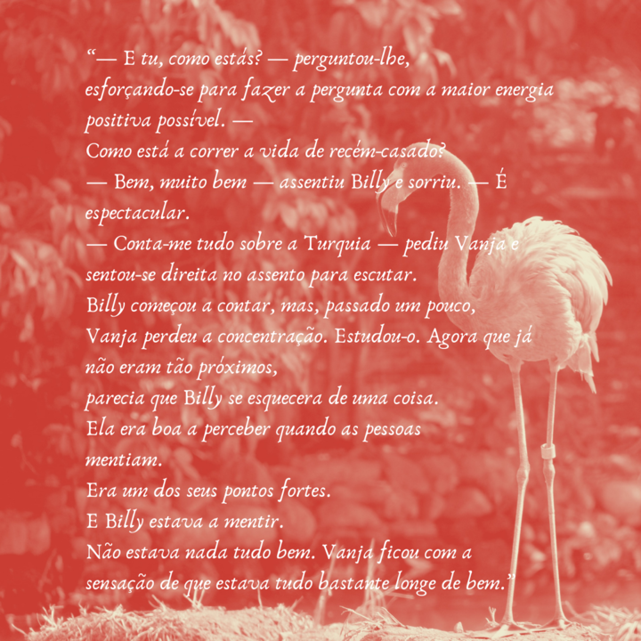 OCastigoDosIgnorantes4.png OCastigoDosIgnorantes4.png