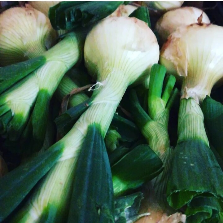 432468683_797038879120191_1646399388310298353_n.jp