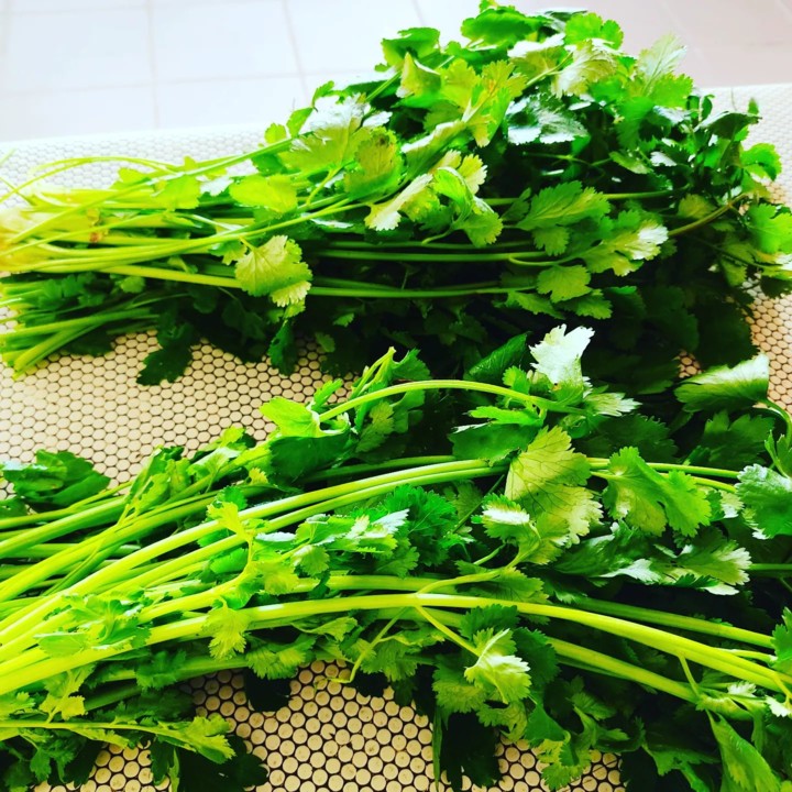 273363474_2231484673657948_5139877190832694441_n.j