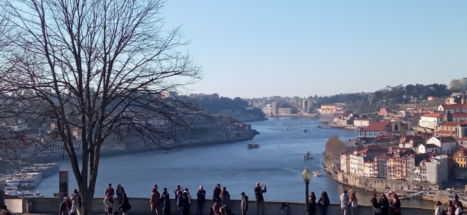 IMG_20230128_153613 (1).jpg