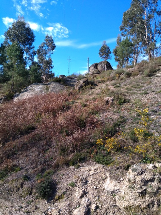 IMG_20210110_122245_BEAUTY.jpg IMG_20210110_122245_BEAUTY.jpg