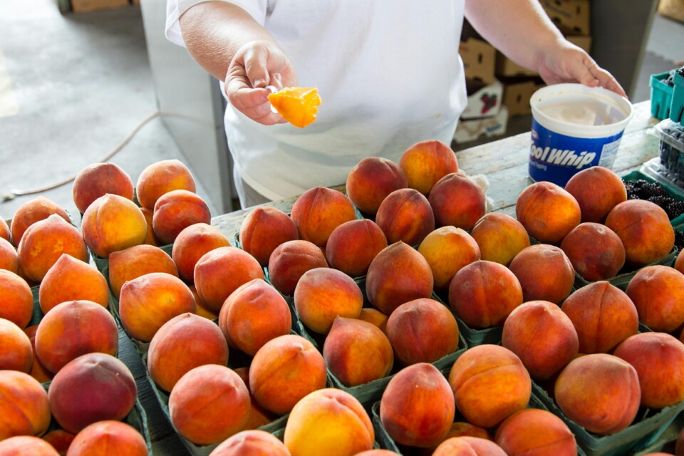 pexels-nc-farm-bureau-mark-2255965.jpg