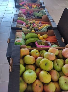 295815281_1176432293212600_4158925296167843939_n.j