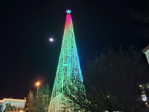 05a_Manhã_cedo (7).jpg