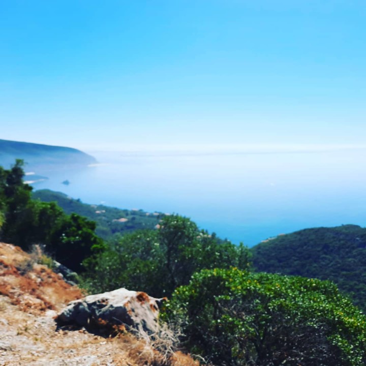 202806987_10222041962496717_5730252892200362357_n.