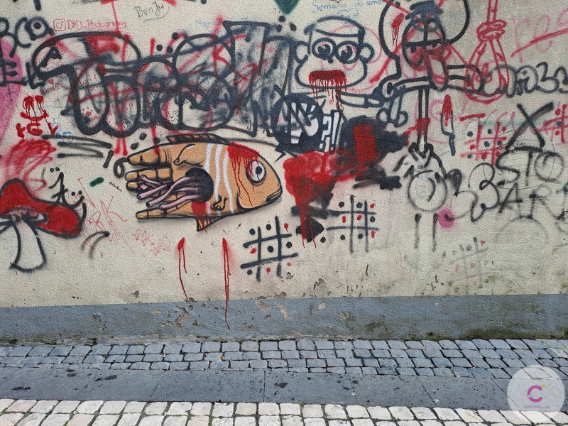 Dina Coelho (16).png