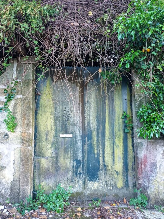 Não me canso disto porta.jpg