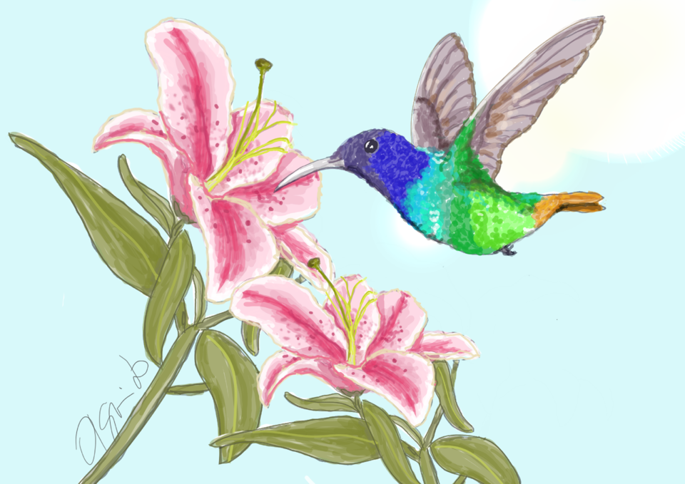 projeto2.png projeto2.png