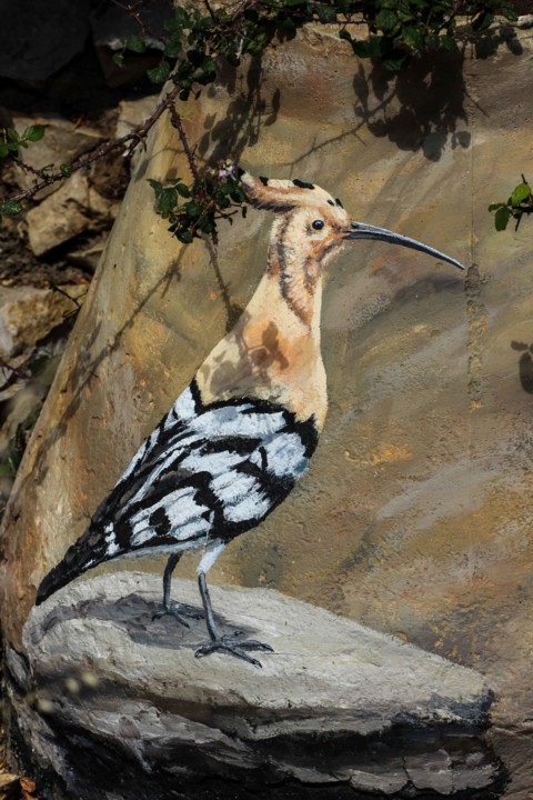 trilho das vinhas-37.jpg