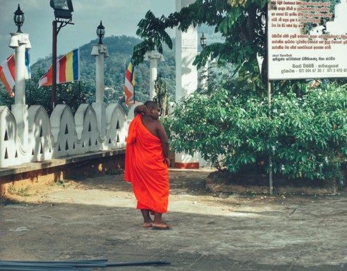 22221979_10214593784308387_634268317314648528_n.jp