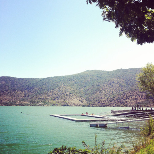 douroint_03.jpg douroint_03.jpg