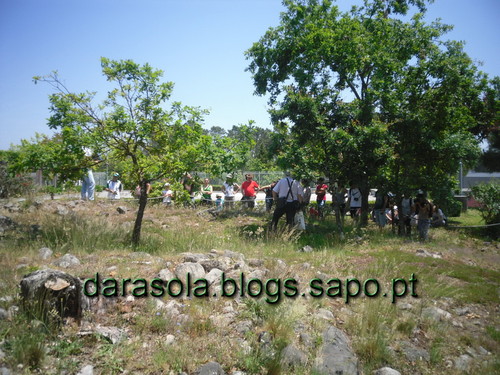 caminho_romano_arouca_20.JPG caminho_romano_arouca_20.JPG