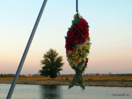 22289605_1876690592356093_1096653636377680181_o.jp