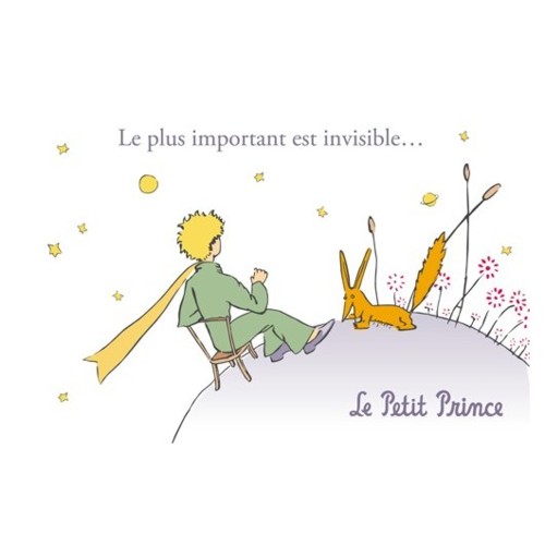 petit-prince3.jpg
