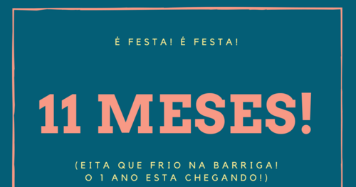 11 MESES.png