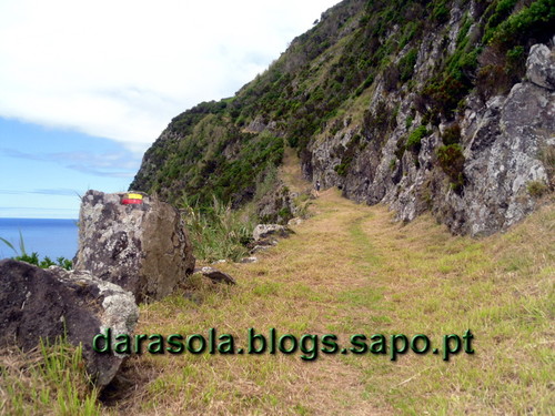 Azores_flores_faja_grande_11.JPG