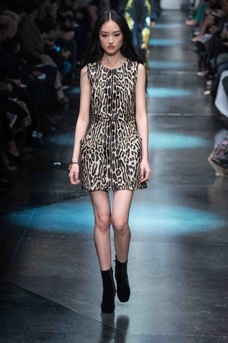 Roberto-Cavalli14-PF-WENN.jpg