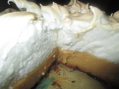 IMG_6973.JPG IMG_6973.JPG