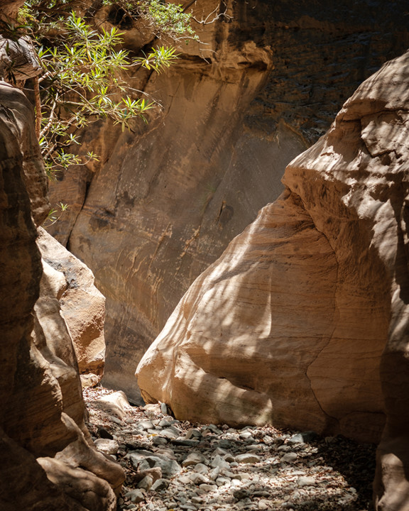 20200919 2020 Wadi LajabbA.jpg