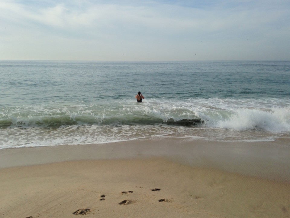 IMG_9532.JPG IMG_9532.JPG