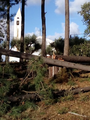 44056821_2020539901335982_4033073410199257088_n[1]