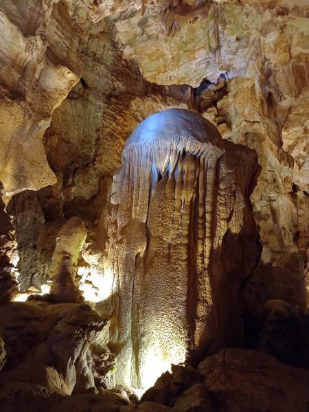 236745511_147108057567913_6478201784243071364_n.jp