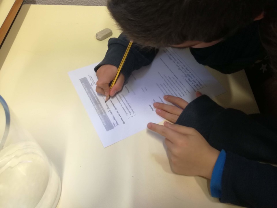 IMG_20200130_154428.jpg IMG_20200130_154428.jpg