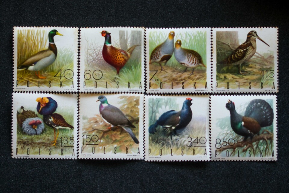 selos polonia 1970-9.jpg