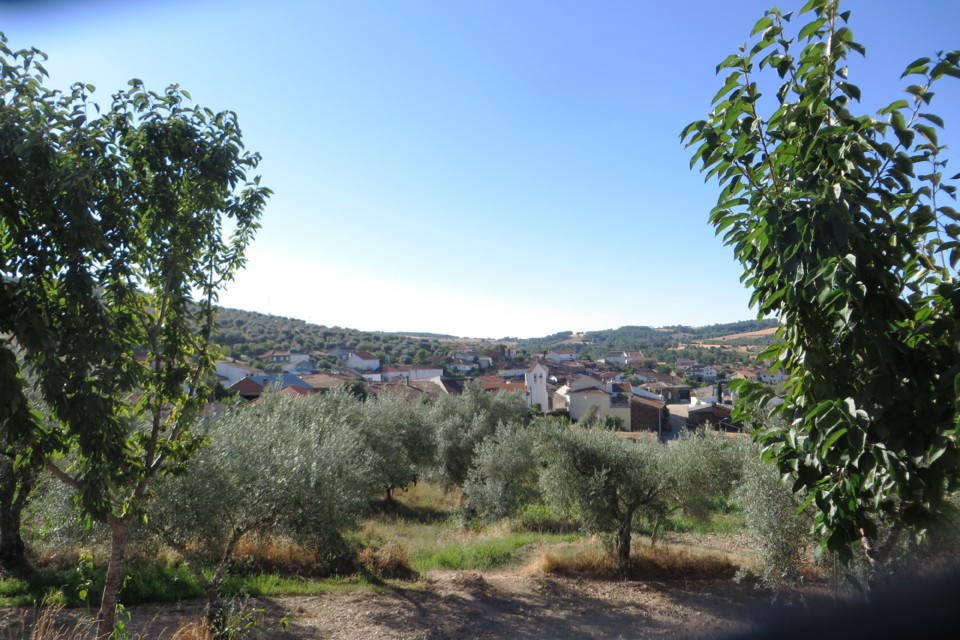 IMG_2765.JPG IMG_2765.JPG