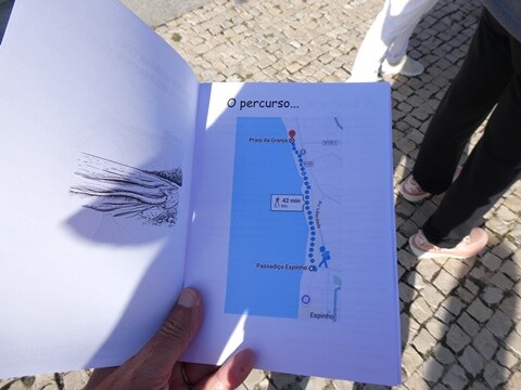 1 - Segunda-feira - Caminhada em Espinho (12).JPG