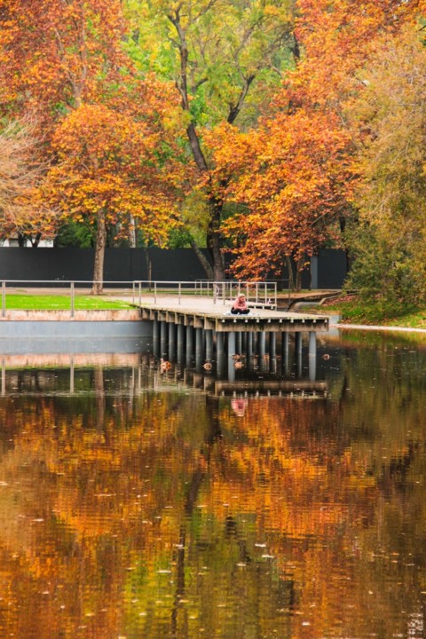 outono quinta das conchas 1.jpg