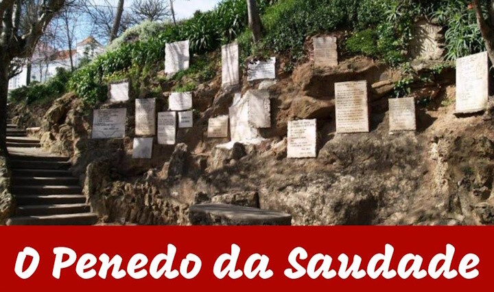 45653781_1980034528758264_2924104015329361920_n.jp