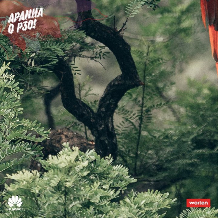 56157328_10156567699379221_1411562060055052288_n.j 56157328_10156567699379221_1411562060055052288_n.j