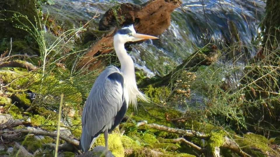 120524178_10218504975910758_2551101860304250502_n.