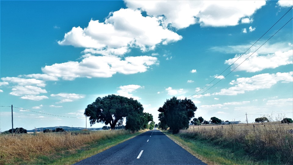 ESTRADA_ALENTEJO.jpg