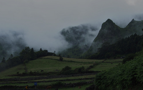 Brumas nas Flores.jpg