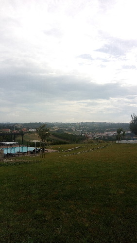 P_20170624_090533.jpg P_20170624_090533.jpg