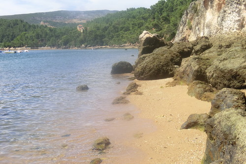 2011-08-18 11.57.36.jpg