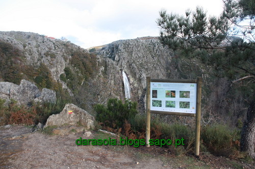 Biodiversidade_Freita_25.JPG Biodiversidade_Freita_25.JPG