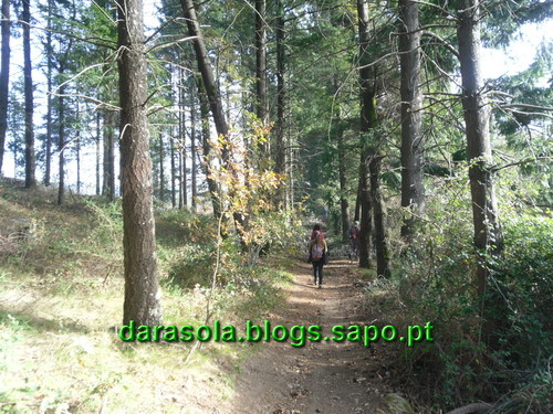 Trilho_Eiras_Famalicao_17.JPG