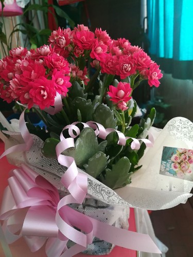 18319128_10154712613748565_2386061309566118352_o.j