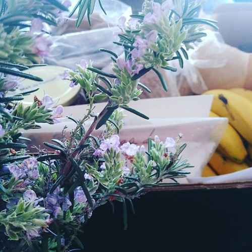 16939330_851453184994444_1214818087639699907_n.jpg 16939330_851453184994444_1214818087639699907_n.jpg