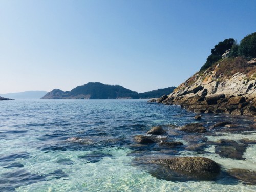 IMG_7103.jpeg IMG_7103.jpeg